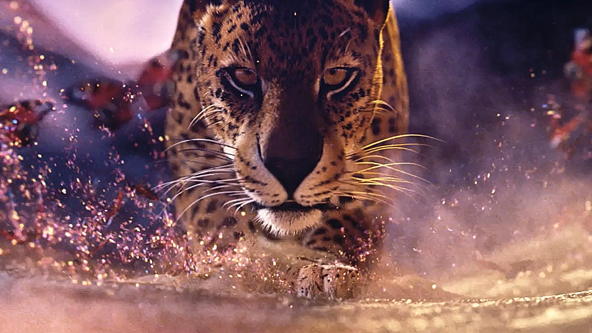 Canon EOS R5 R6 Born to rule