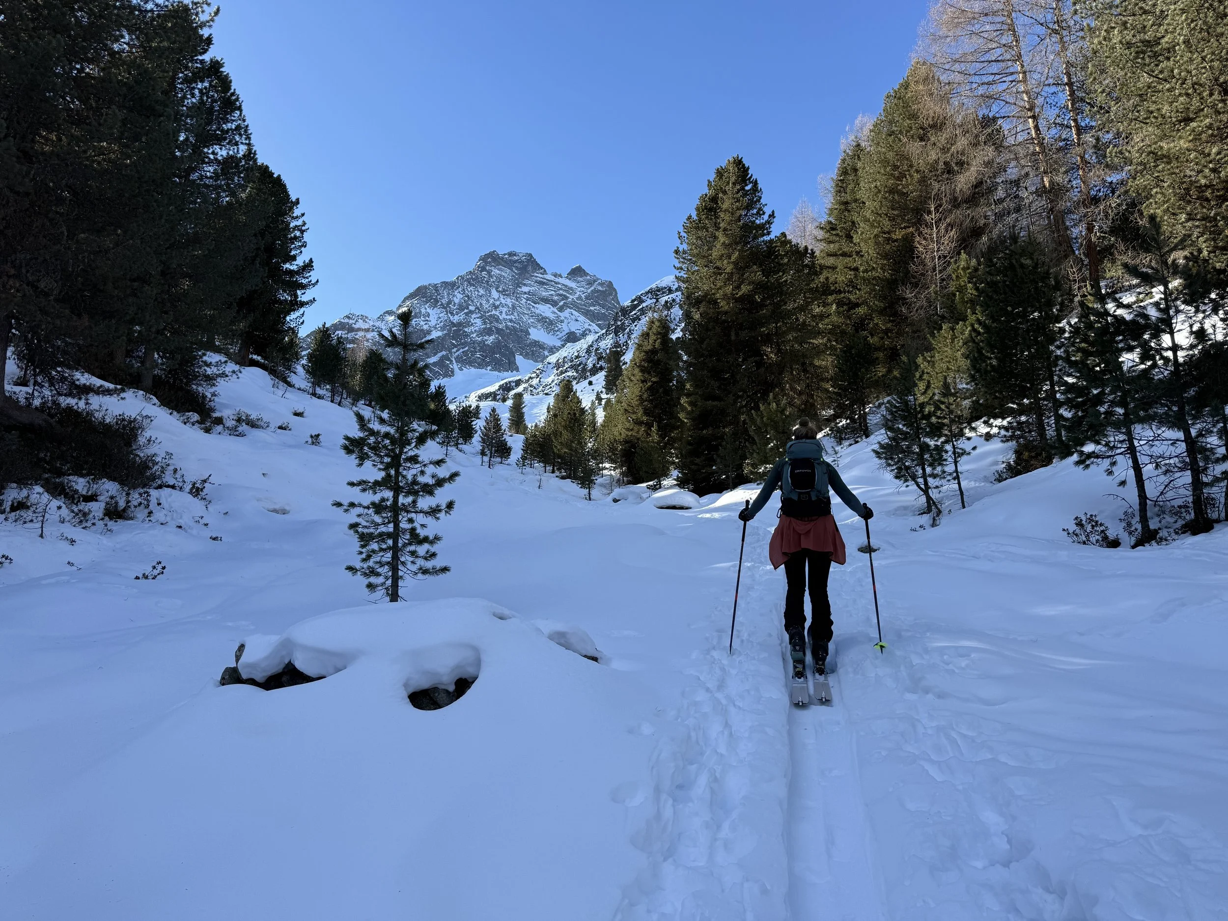 Rosskopf (2305m) from Scheibe