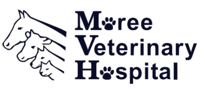 Moree Veterinary Hospital