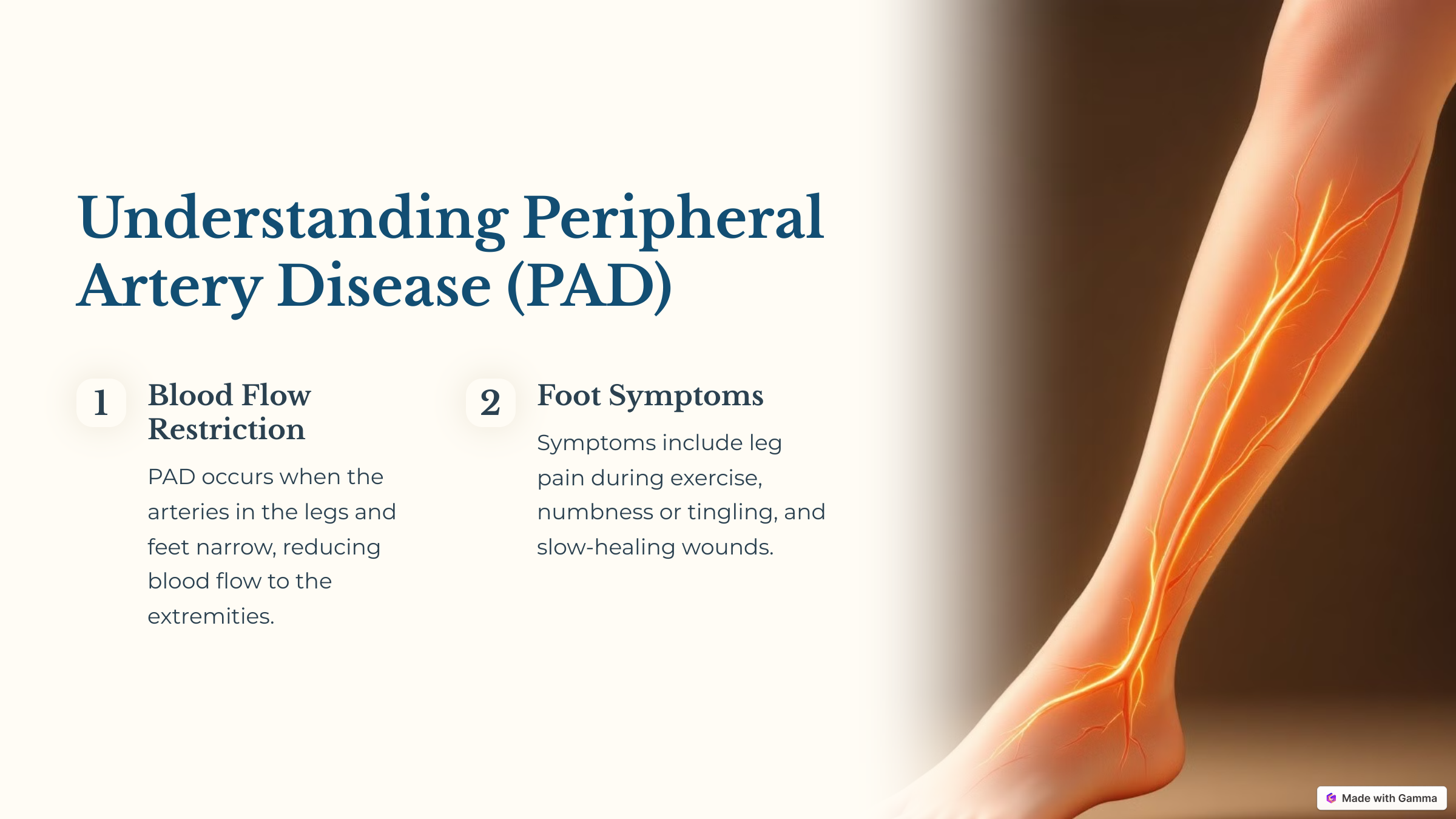 An infographic about Peripheral Artery Disease (PAD), showing a human leg with highlighted arteries, accompanied by text explaining blood flow restriction and foot symptoms such as leg pain, numbness, tingling, and slow-healing wounds.