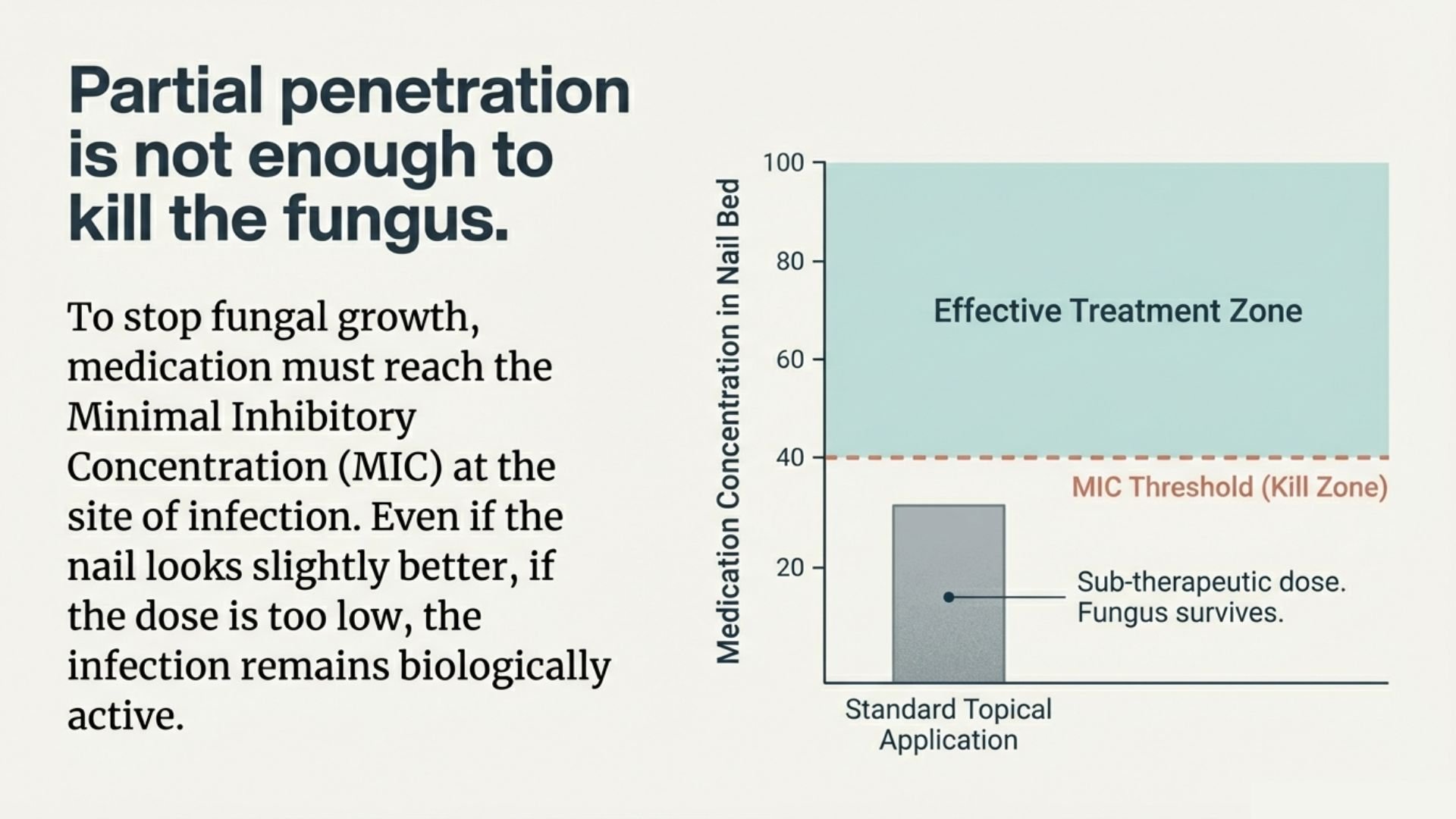 A medical informational slide about fungal infection treatment. It states that partial penetration is not enough to kill the fungus and emphasizes reaching the minimal inhibitory concentration (MIC) at the infection site. The slide features a bar gra