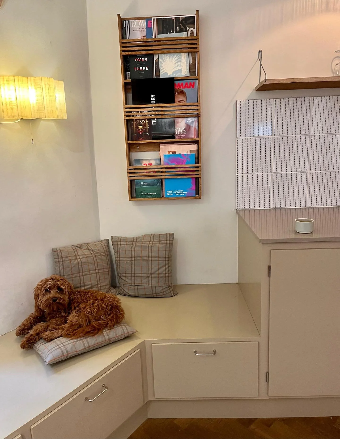 Daimi &oslash;ver sig i at v&aelig;re butikshund 🐶🐾
Vi satser p&aring; hun nok skal blive helt god til det 😅