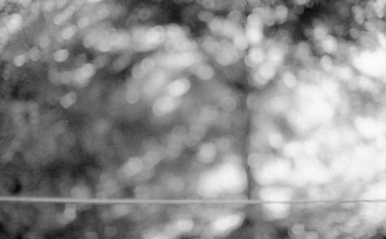 1600Delta011 copie.jpg