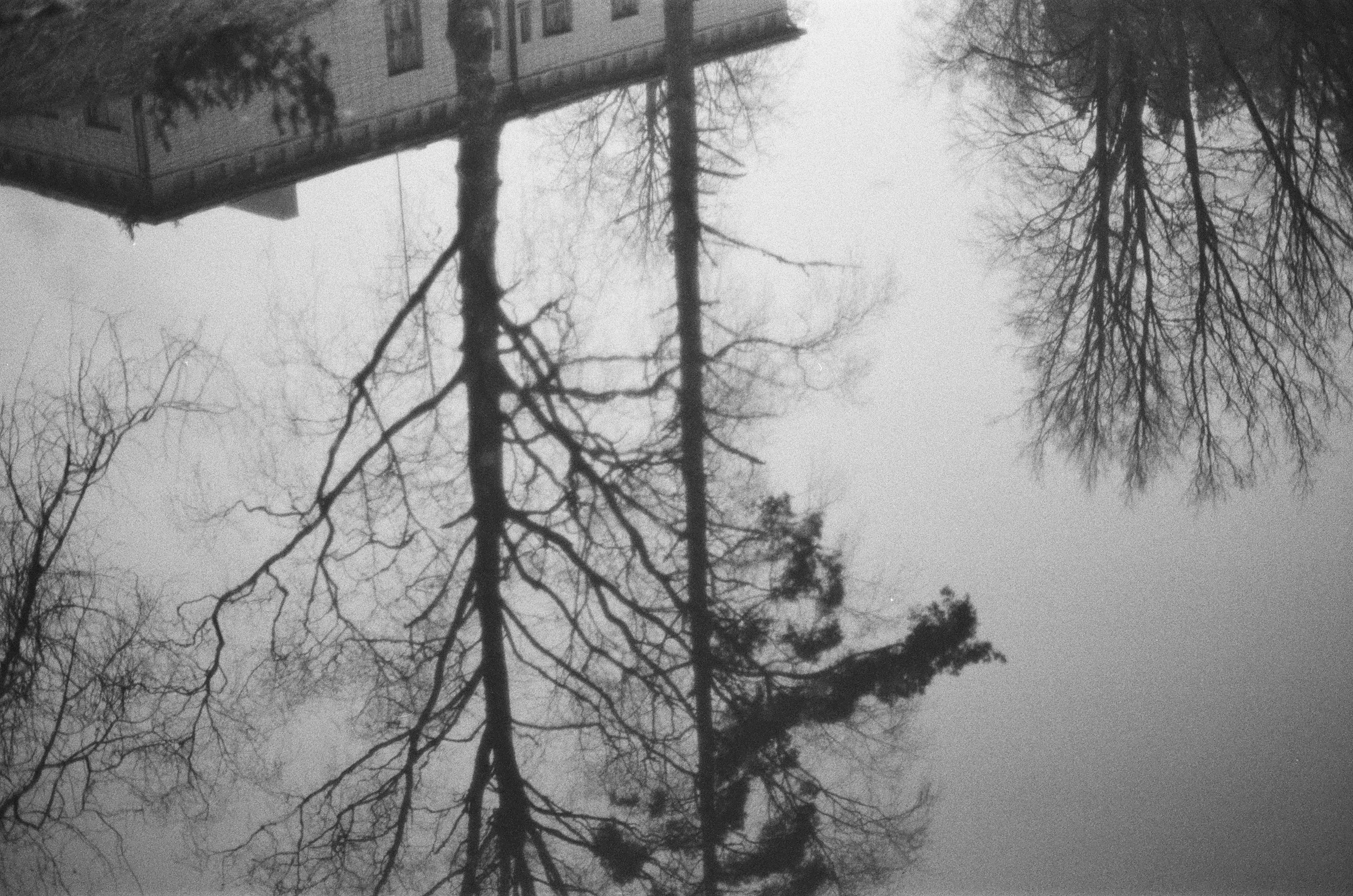 110502680035_35 copie.jpg