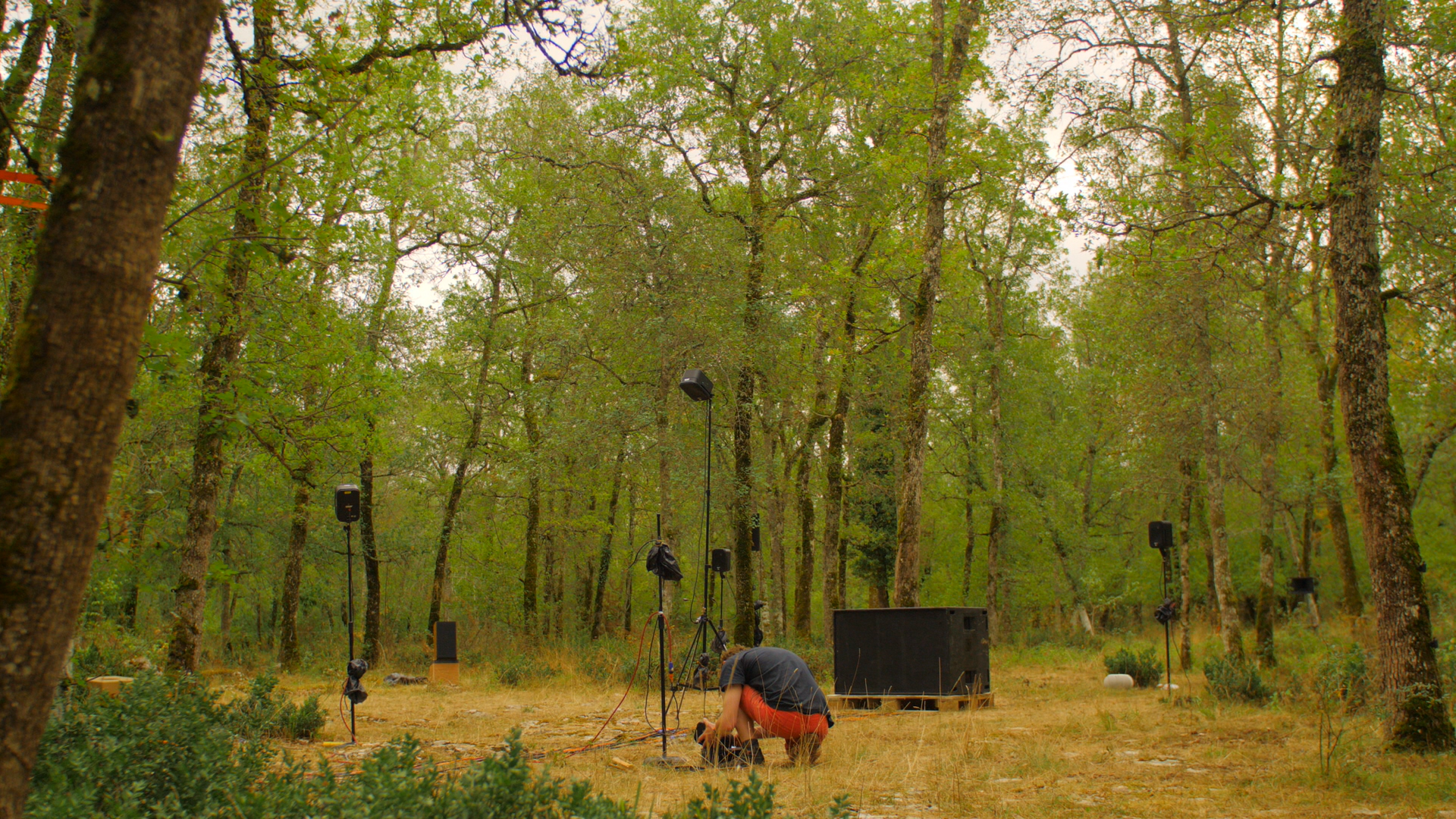 Screenshot (211).png