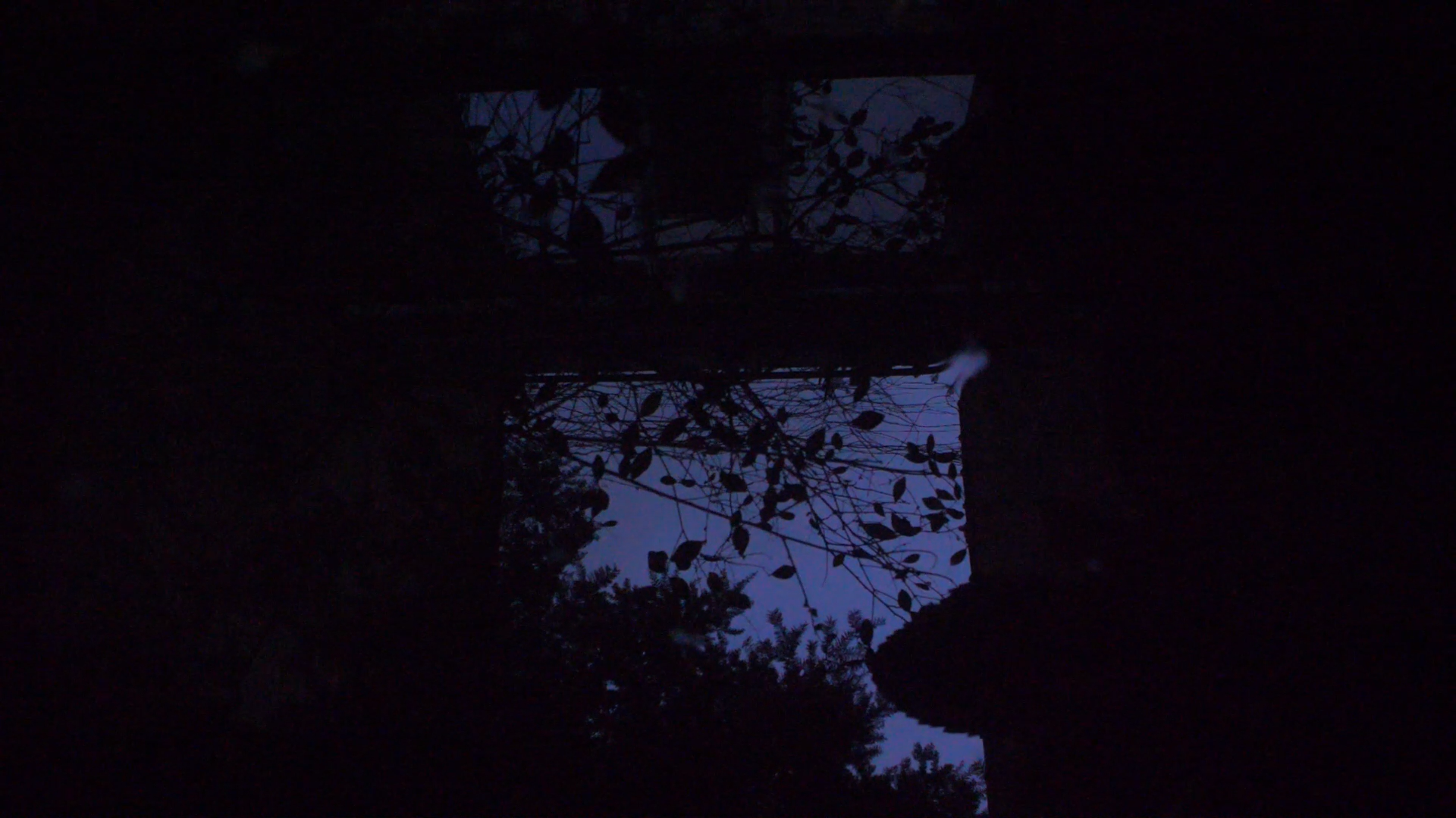 Screenshot (260).png