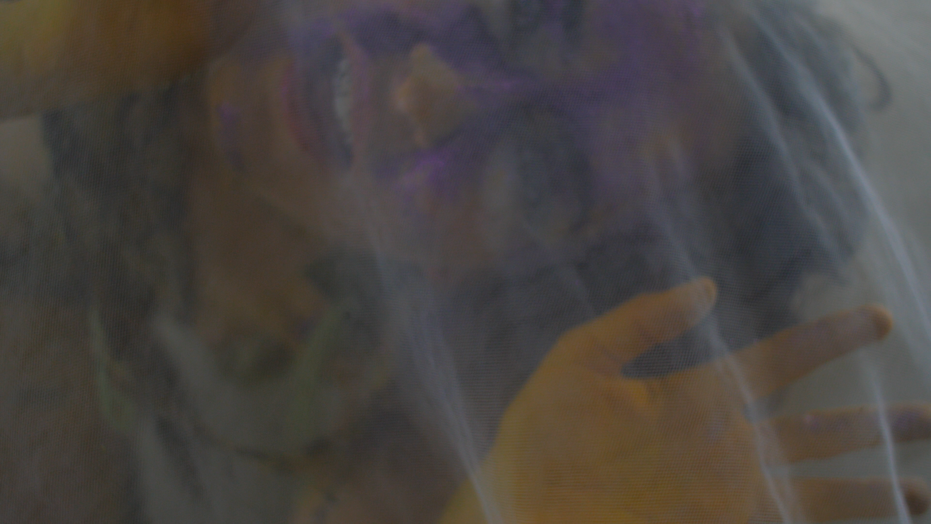 Screenshot (276).png