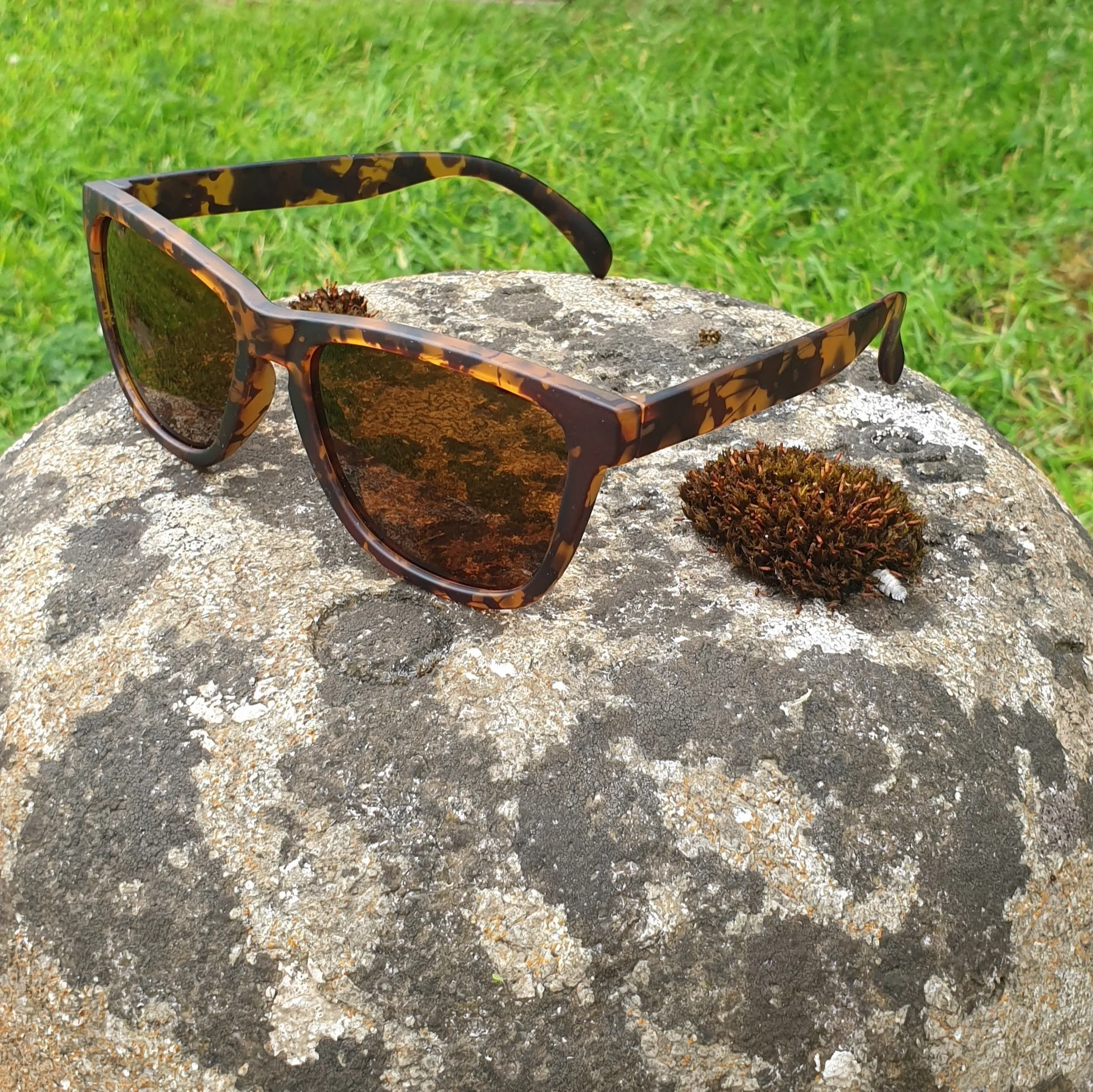 team sunweb sunglasses