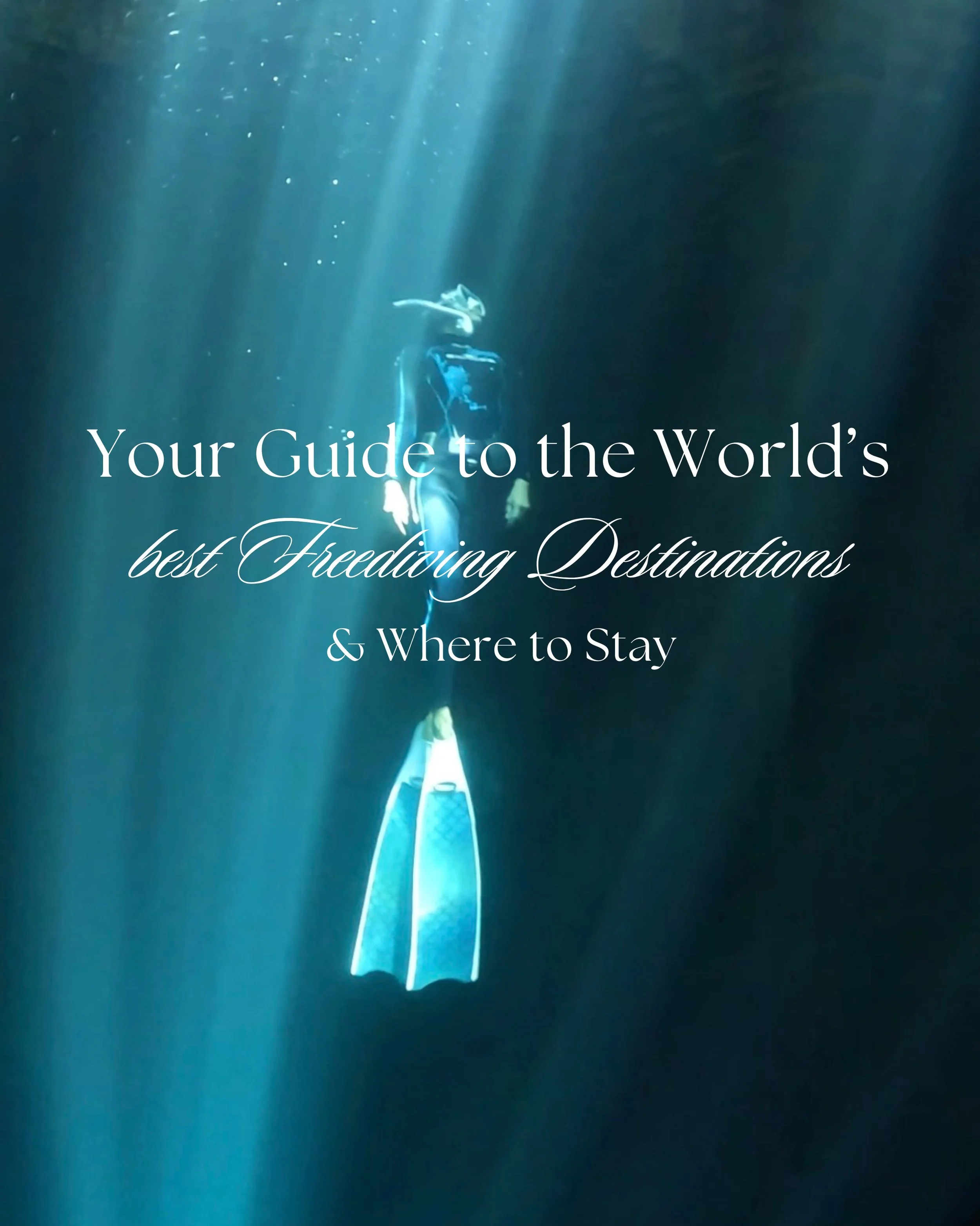Where to go for the best freediving 🩵

I&rsquo;ve done some research for you and found a few of the best places in the world to get your feet wet, and of course also the best hotels to stay at!

For the full list, read the article on my Substack, or