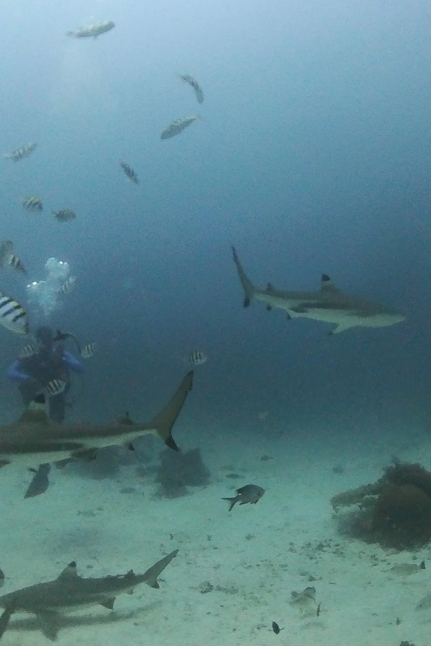 IMG_20260805_075500_858.png