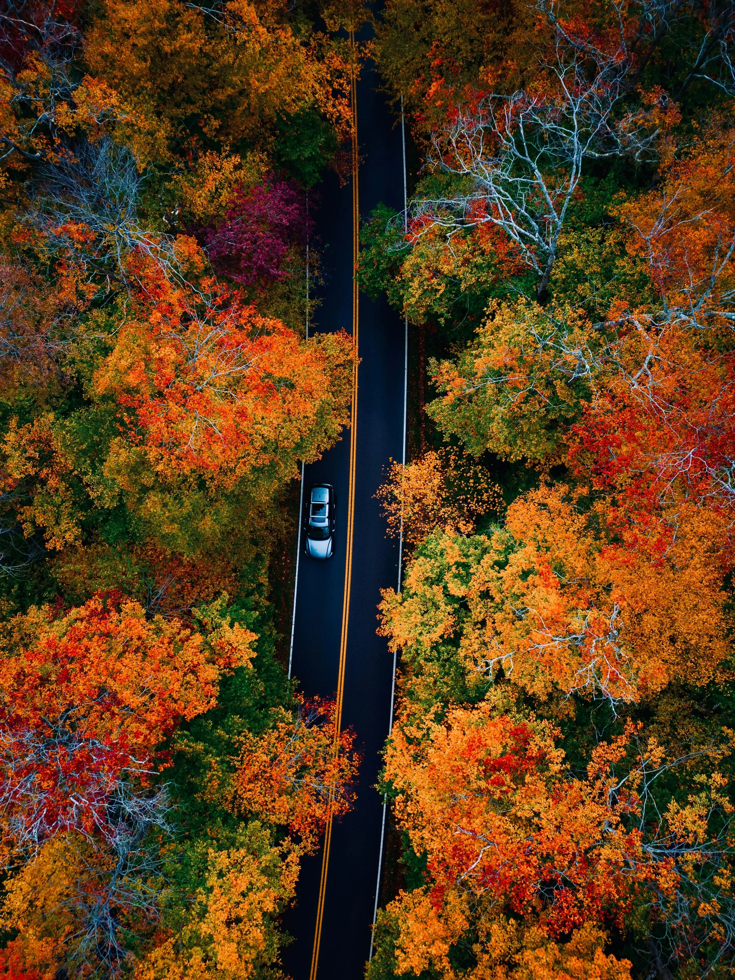Vermont.jpg