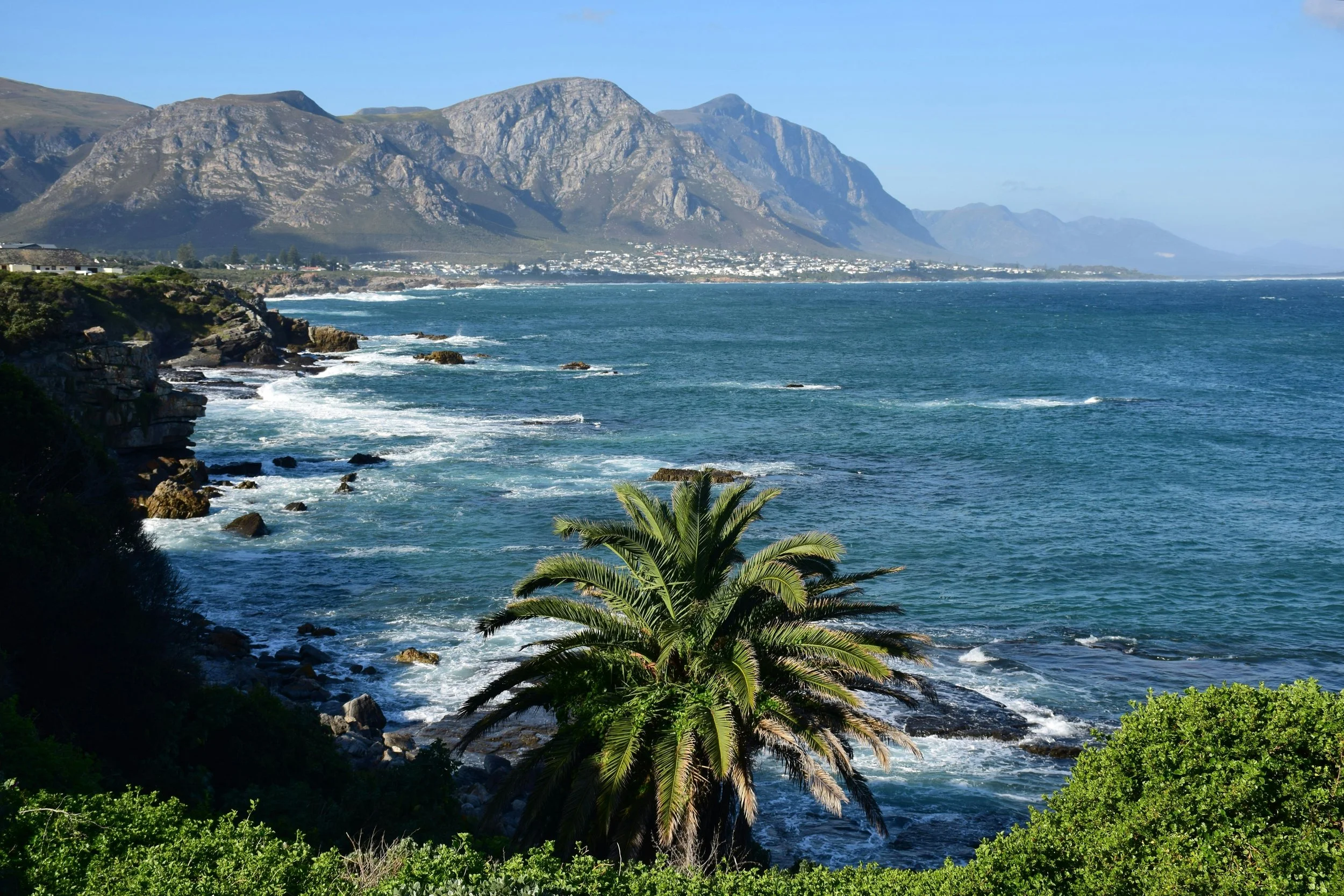 Hermanus.jpg