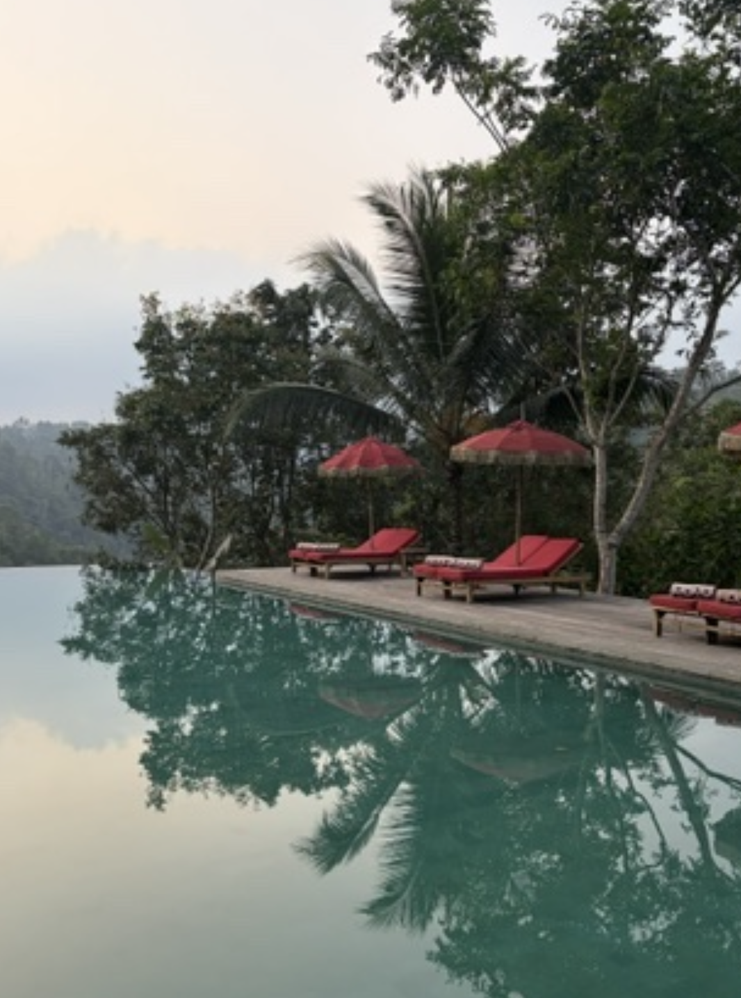 Poolside lounge chairs with red cushions and umbrellas beside a pool, surrounded by trees and lush greenery.