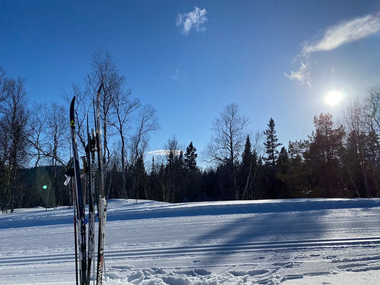 Please don't make me write "surrounding society"