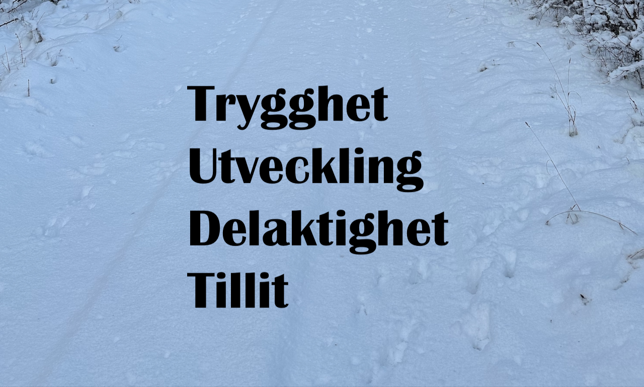 A whole list of interesting nouns