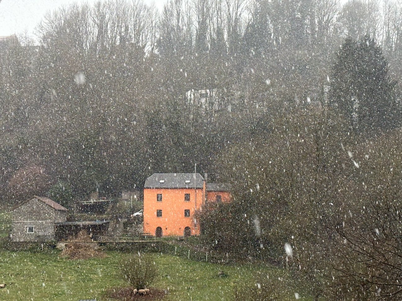 "Jerk" it is not. The perils of AI.