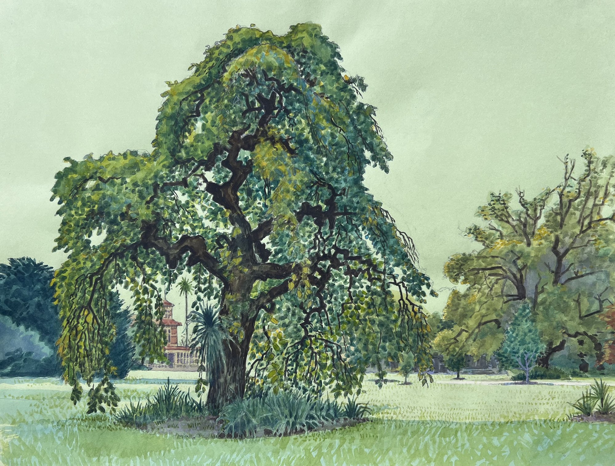 GREGORY_ALEXANDER_SUMMER_RIPPONLEA_ESTATE_GARDENS.jpg