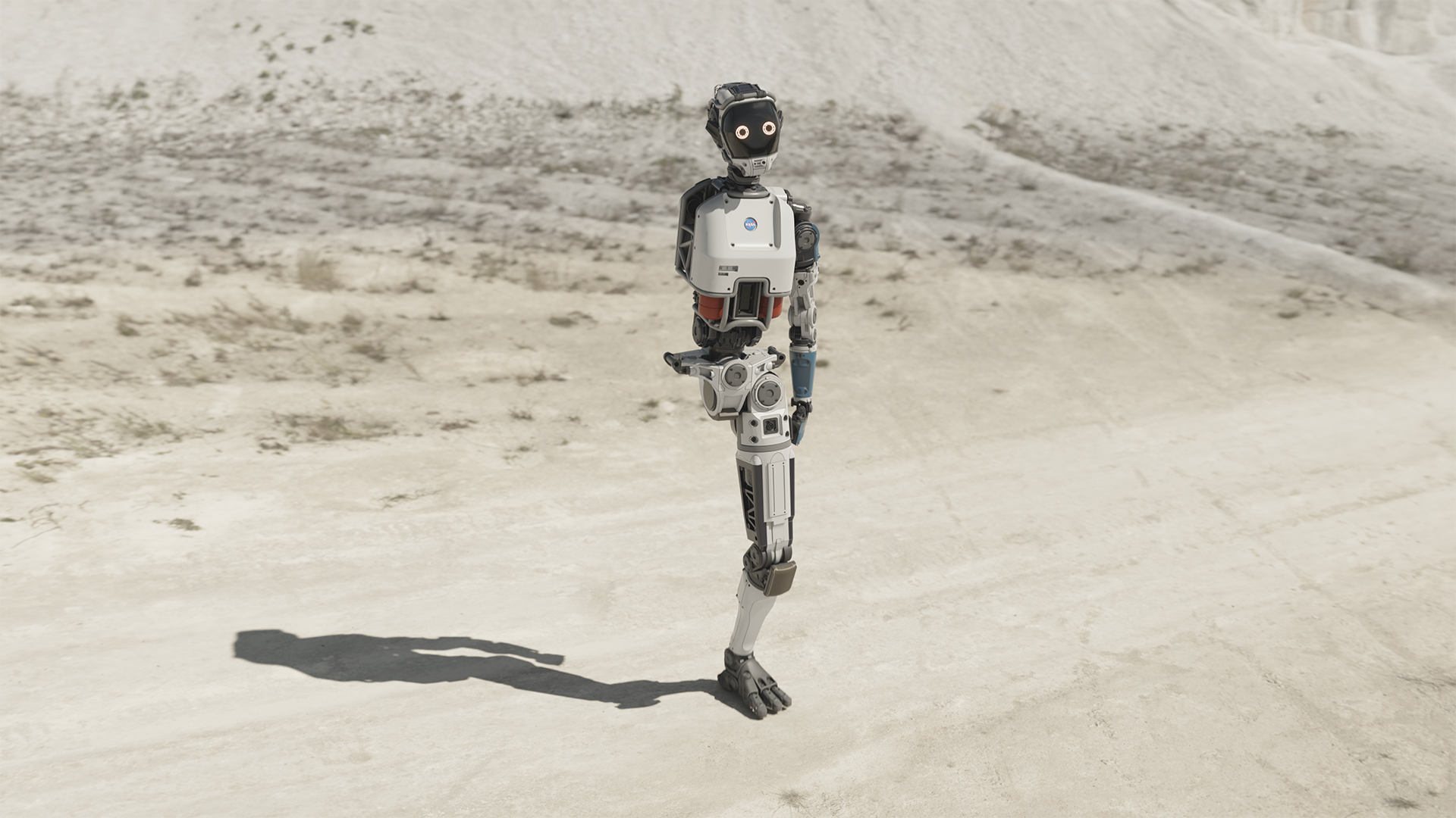 Rig Dev   |   Walk Cycle