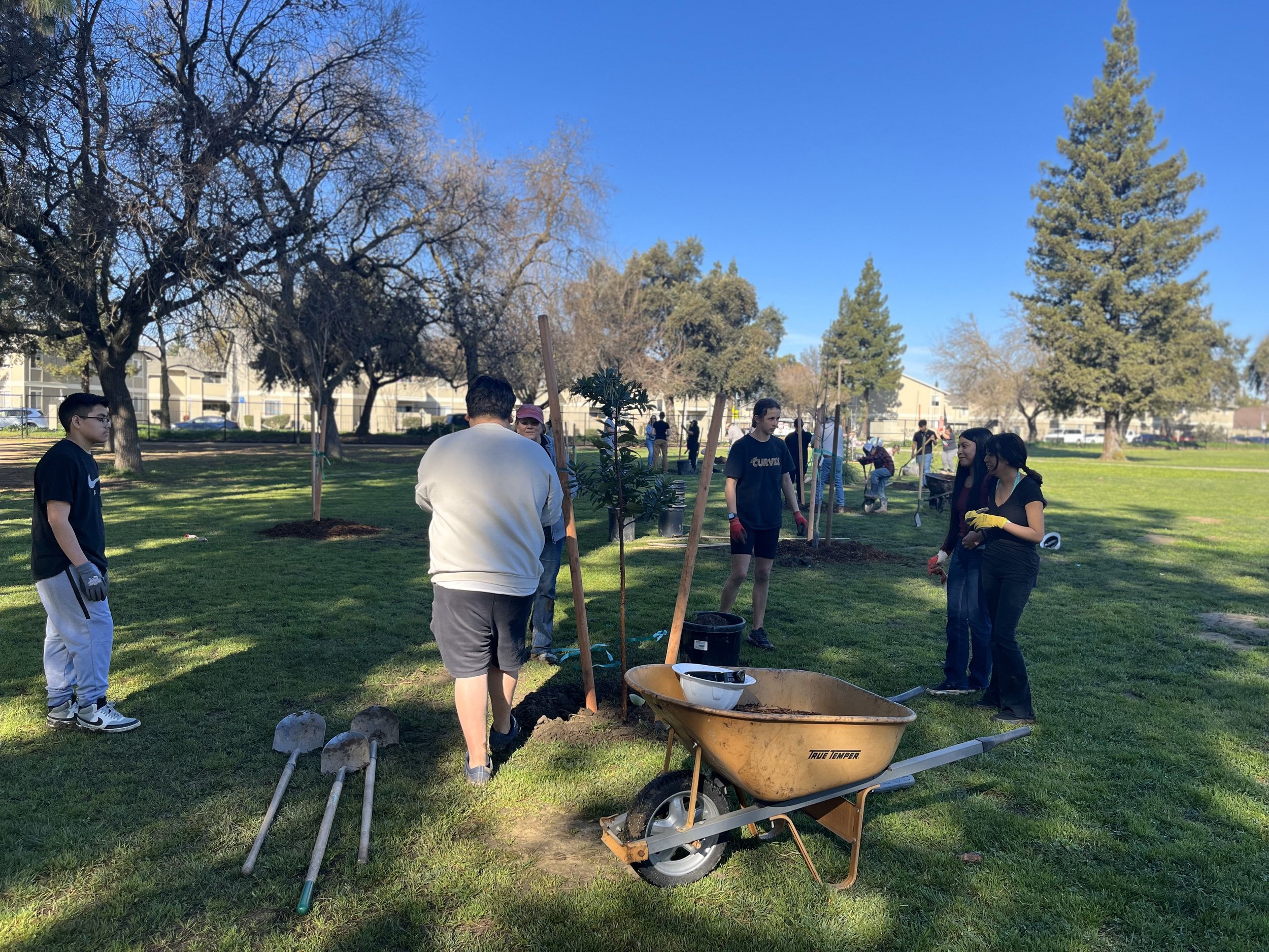 Prairie Elementary School - Partners Woodland Tree Foundation