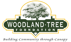 Woodland Tree Foundation partnered for Tree Planting Events 