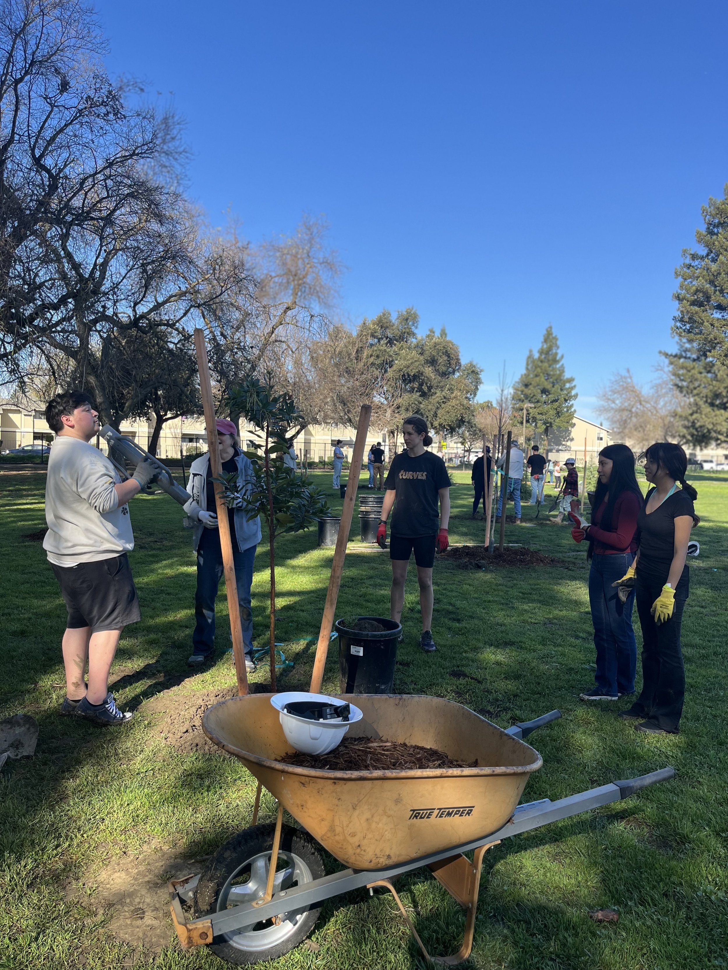 Volunteers planting trees all ages