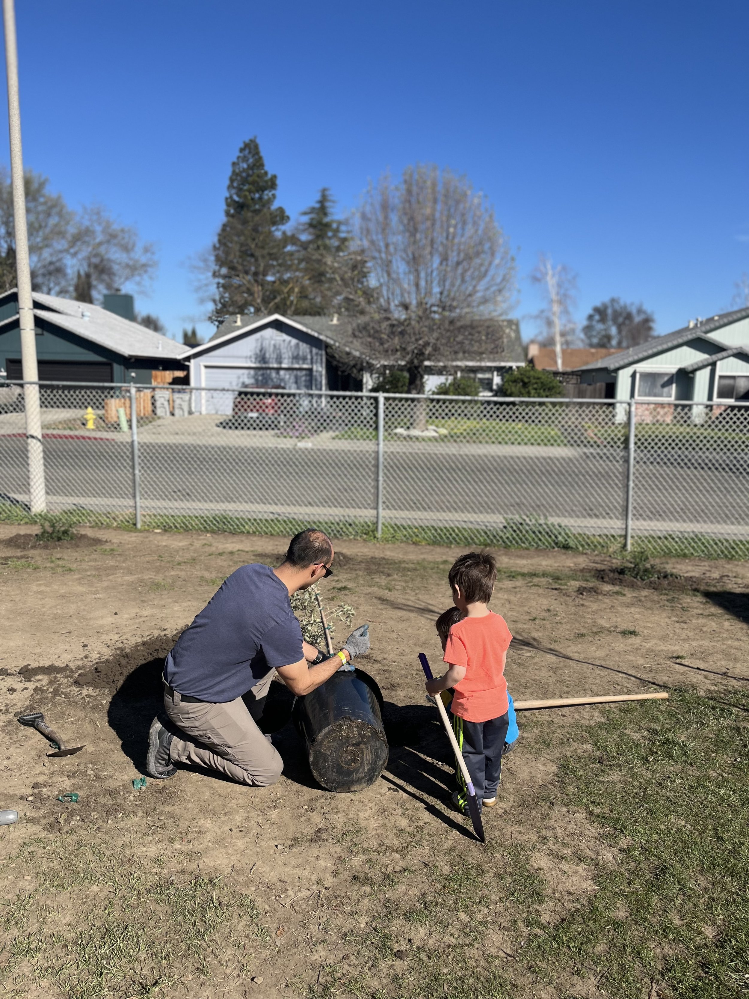 Volunteers planting trees all ages