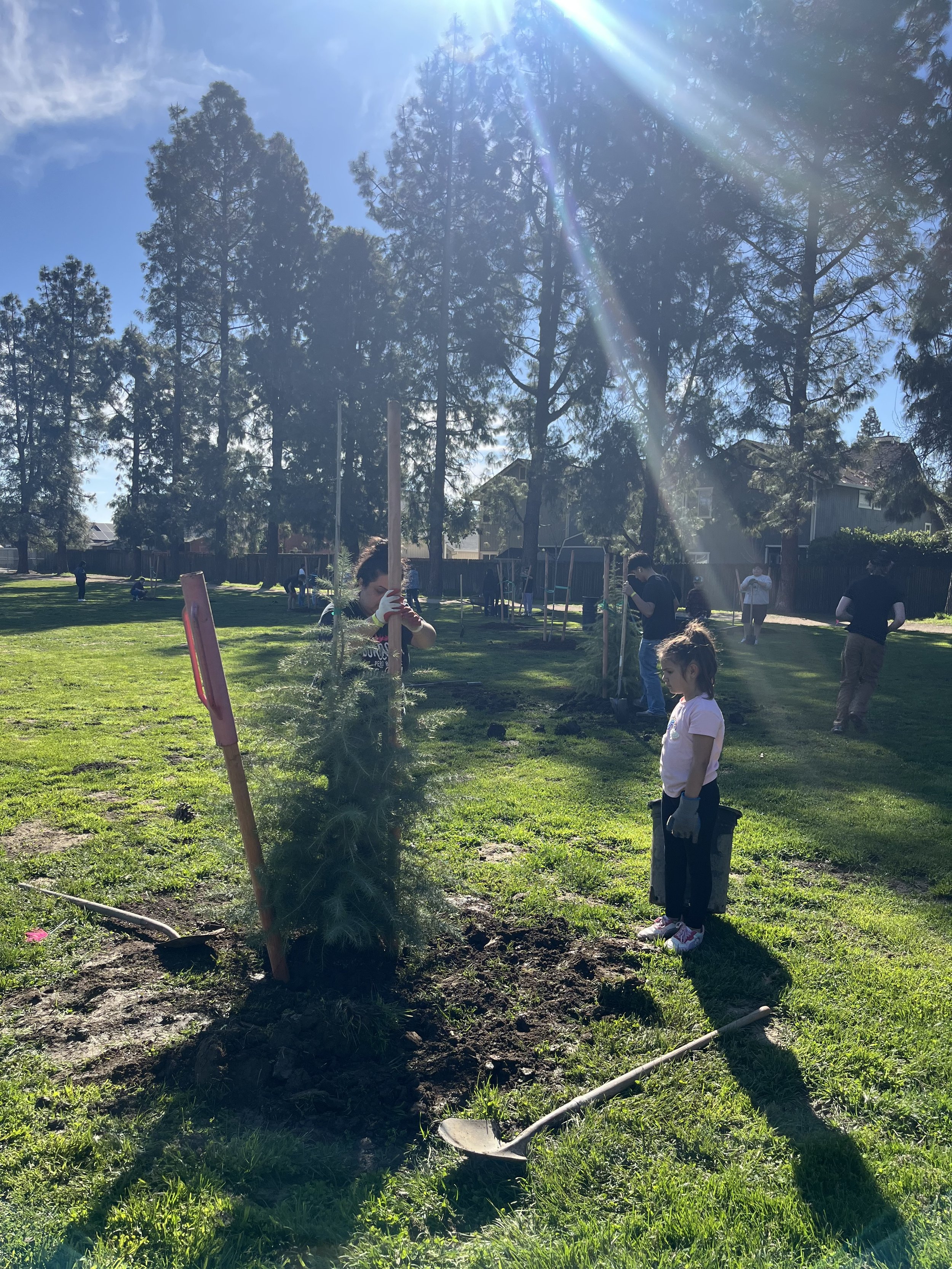 Tree planted proud moment