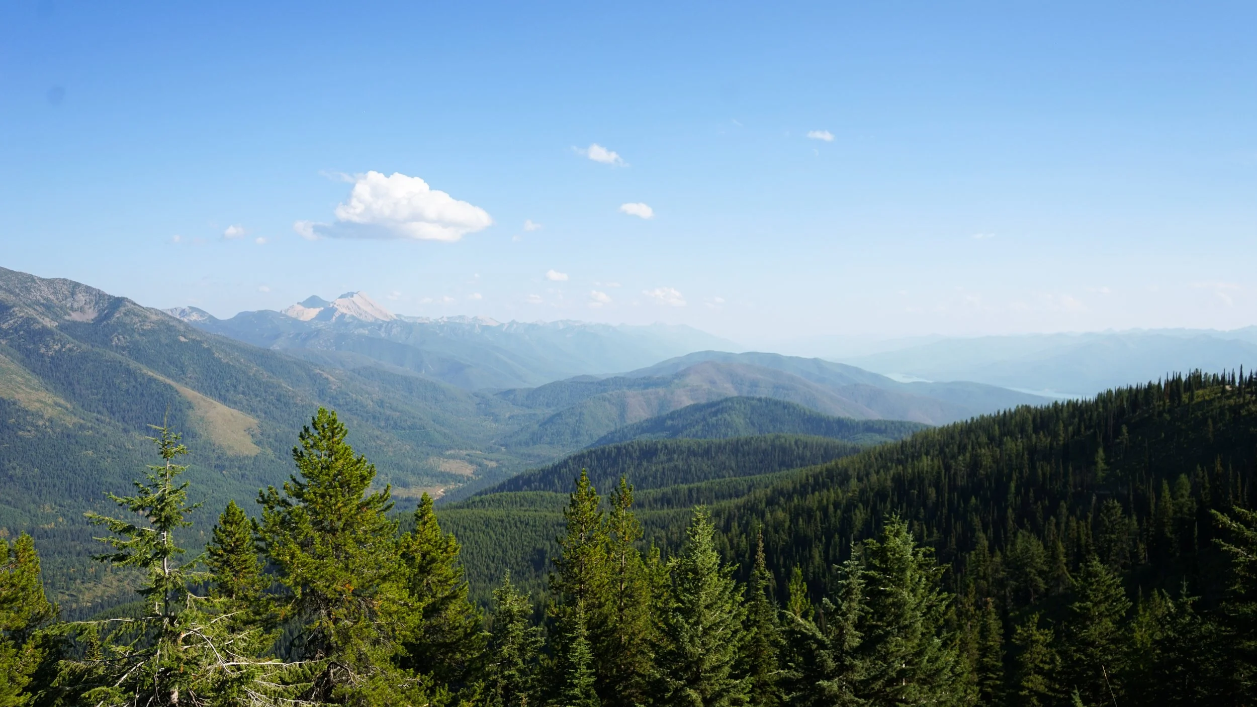 View of lush green mountains with forests and a clear blue sky with a few clouds.