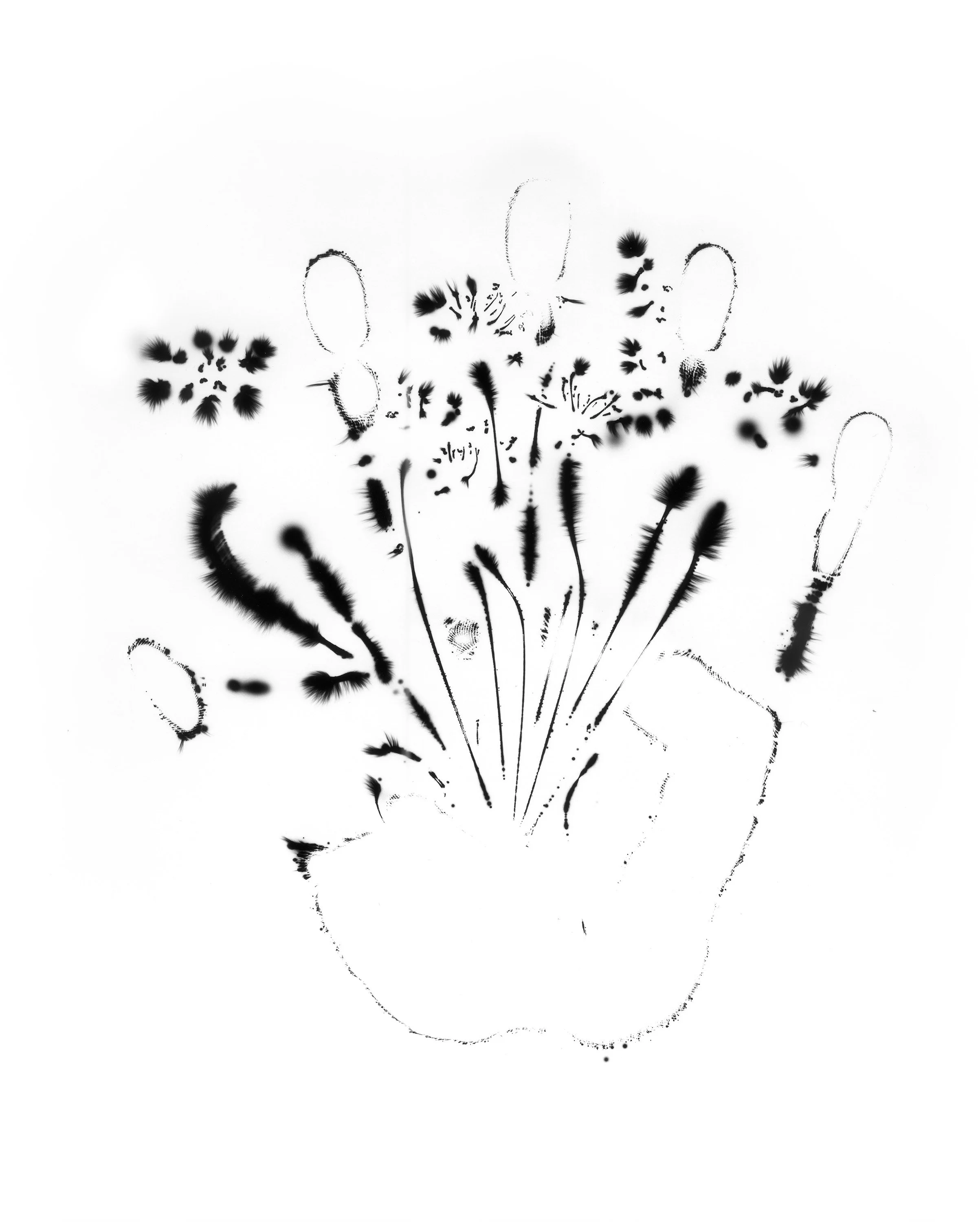 Natural Impressions
Kirlian Silver Gelatin Prints
2026
8x10 