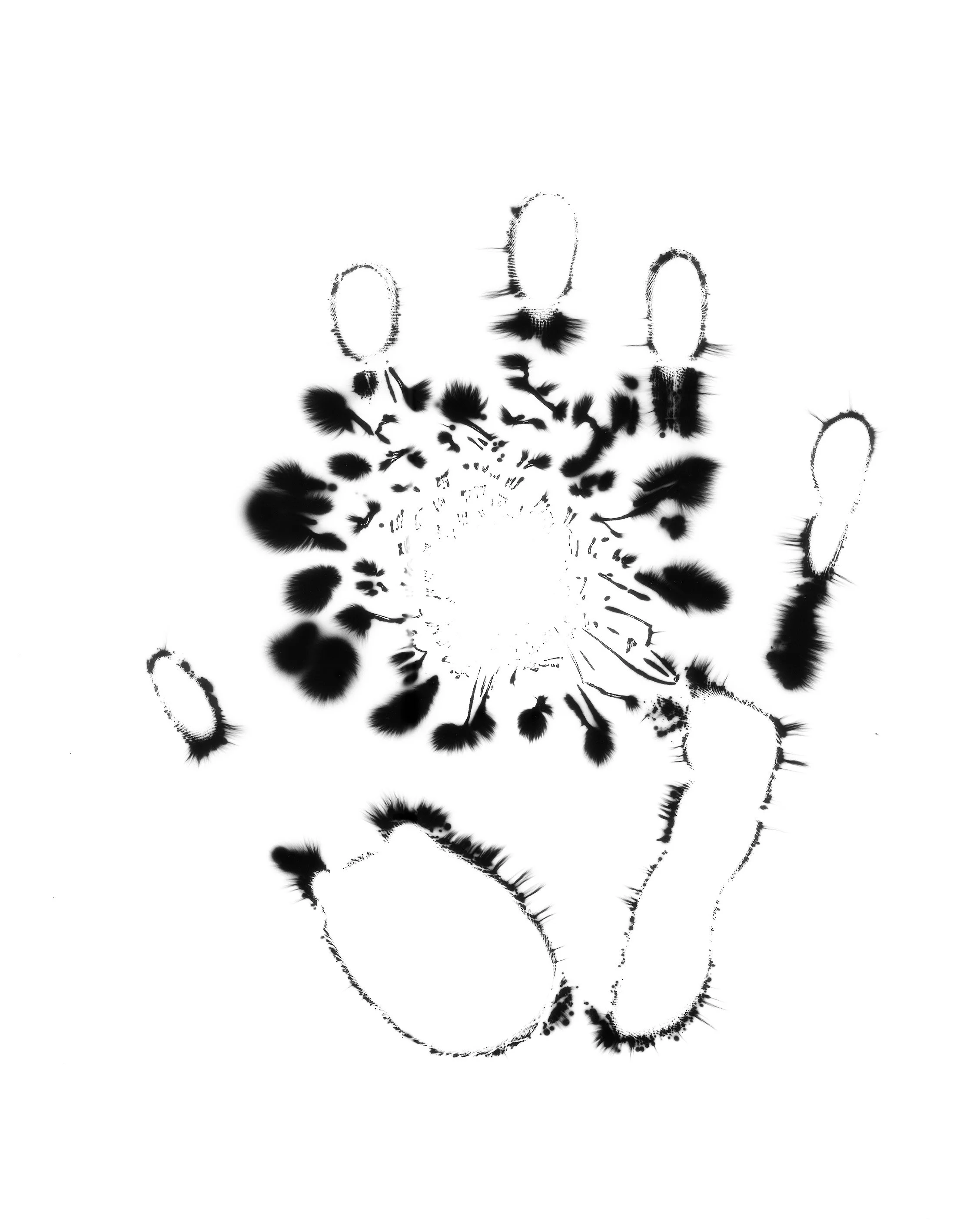 Natural Impressions
Kirlian Silver Gelatin Prints
2026
8x10