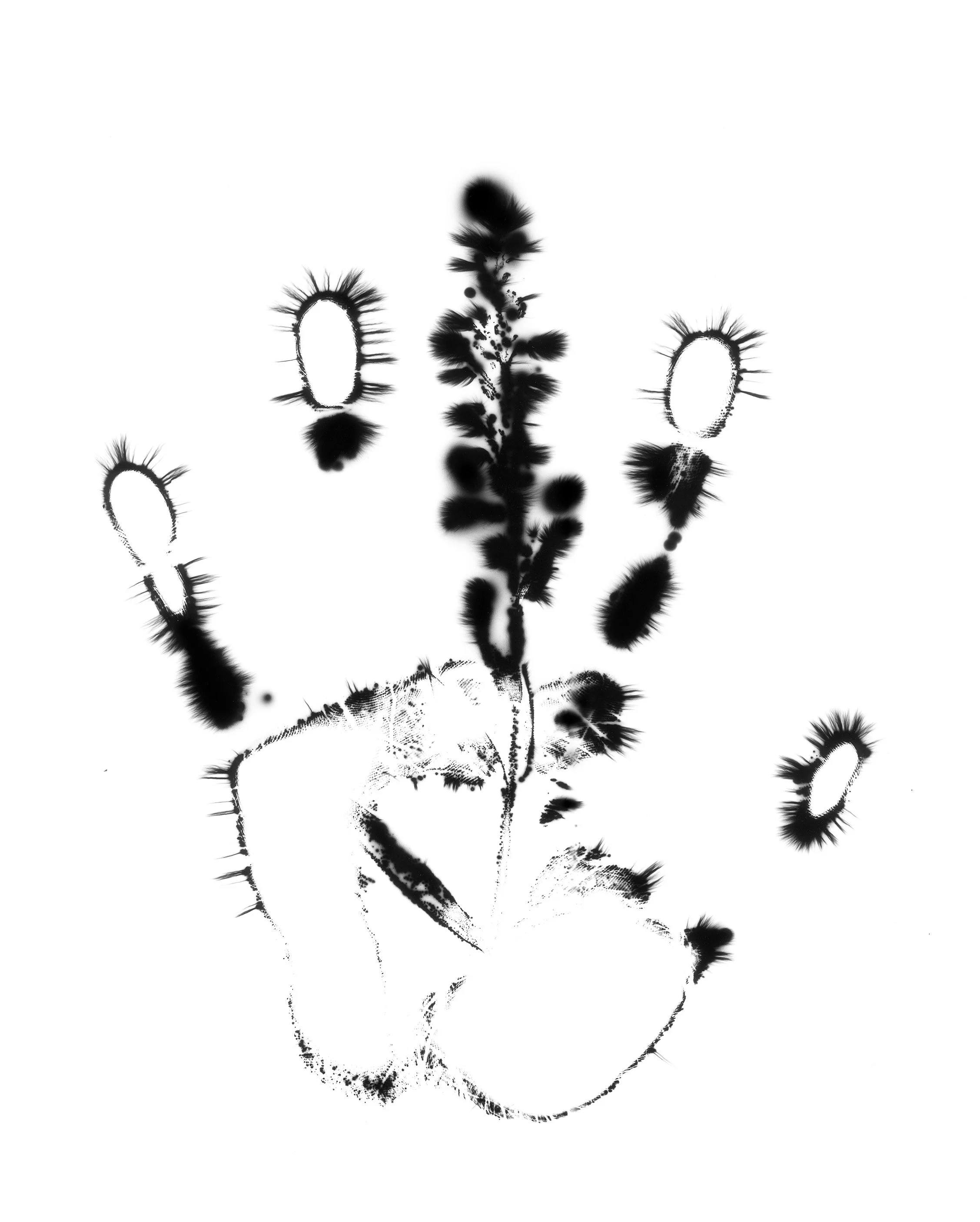 Natural Impressions
Kirlian Silver Gelatin Prints
2026
8x10 