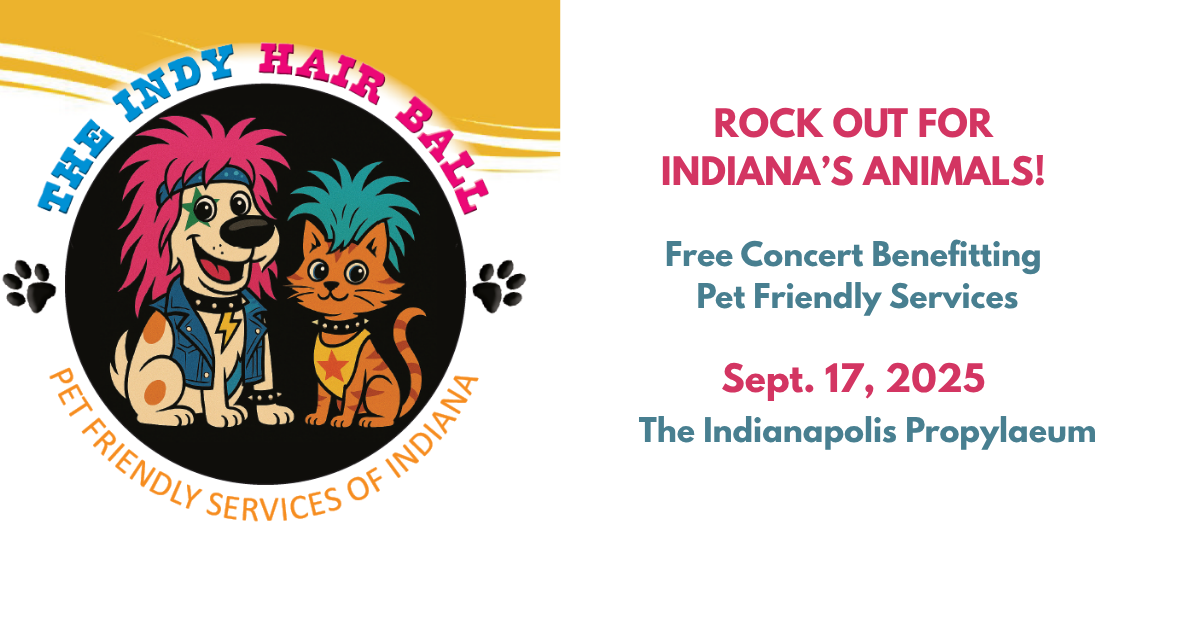 The Indy Hair Ball