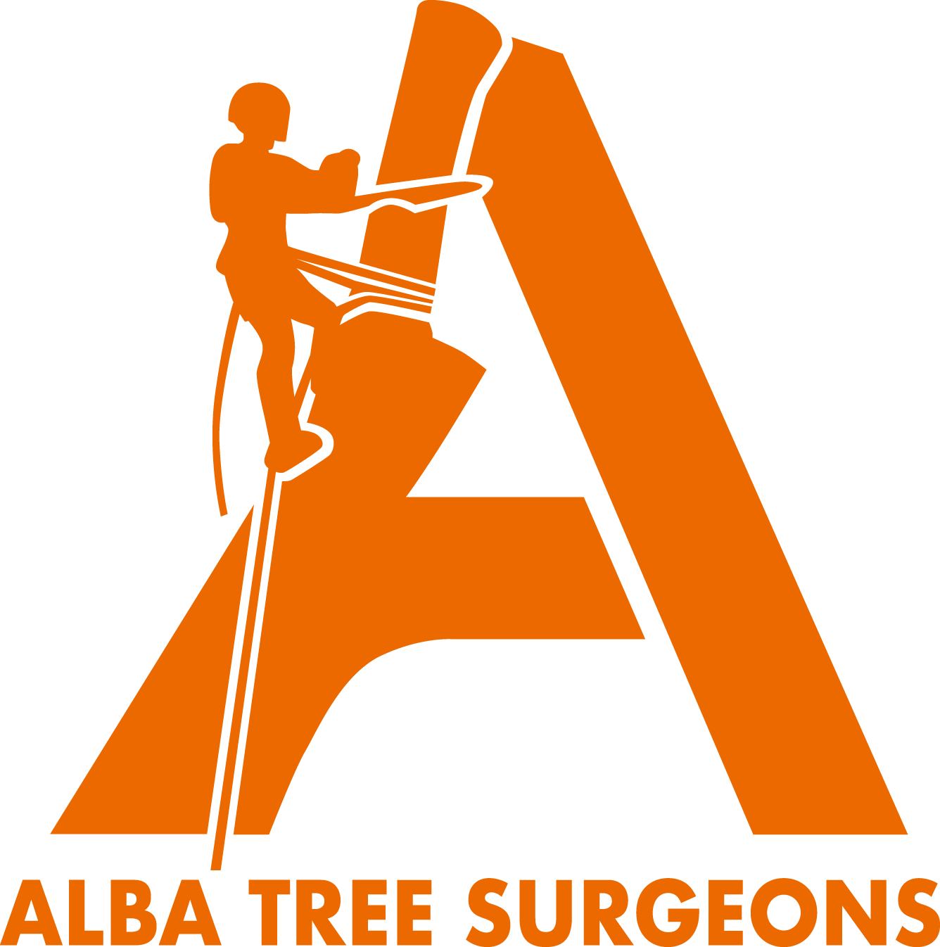 Alba Tree Surgeons: Your Local Edinburgh Tree Surgeon
