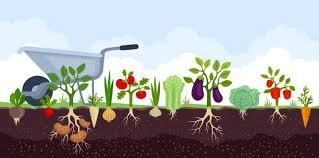  Community Garden 