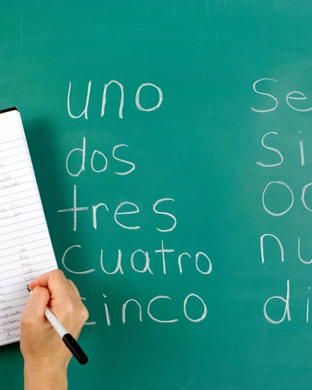 ¡Hola, Mundo!: Beginning Spanish & Culture (A La Carte Option)