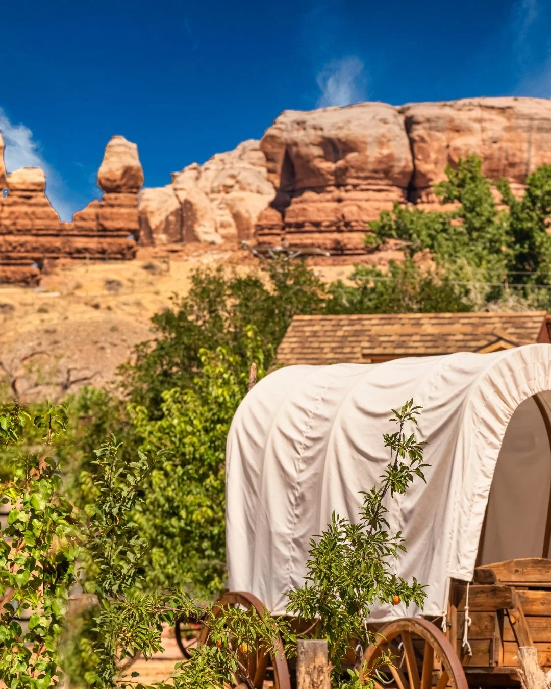 Journey West: An Oregon Trail Adventure (A La Carte Option)