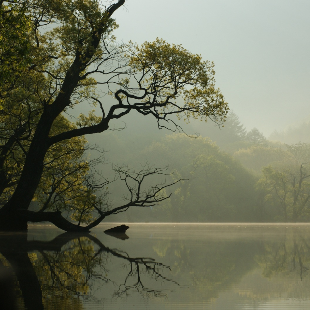 The Tao, The Way of Life.