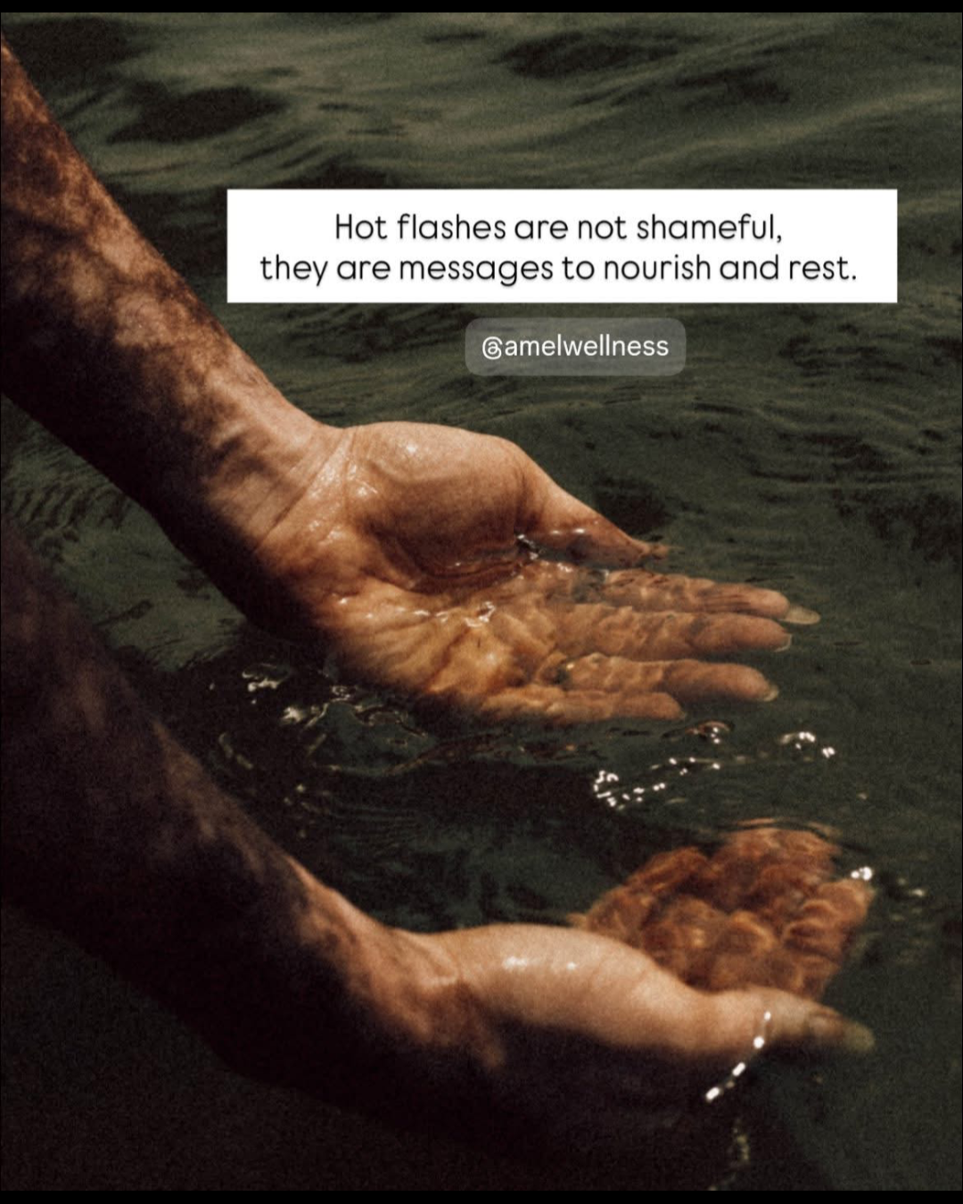 Untitled design (22).png
