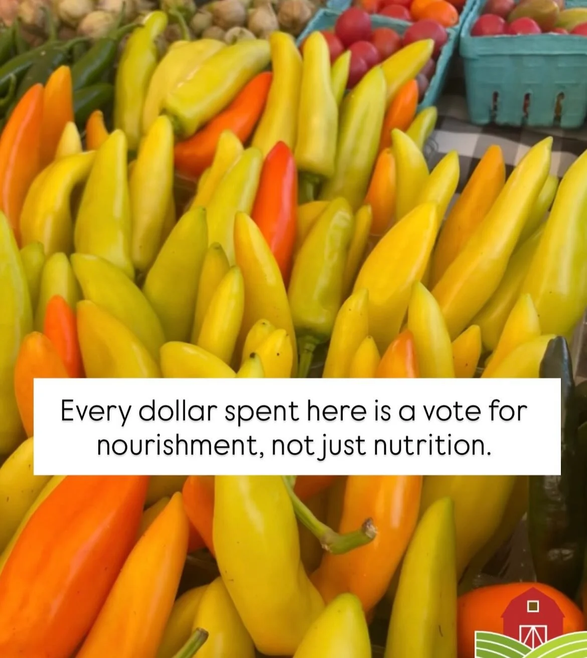 Farmers Market 6.jpg