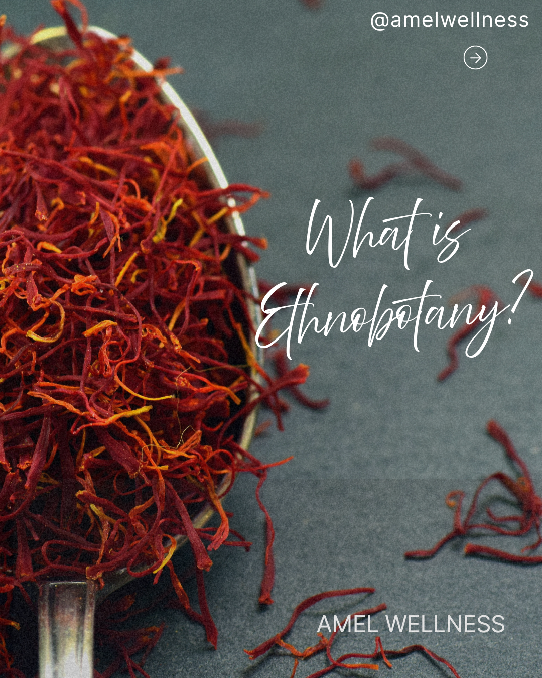 What is Ethnobotany.png