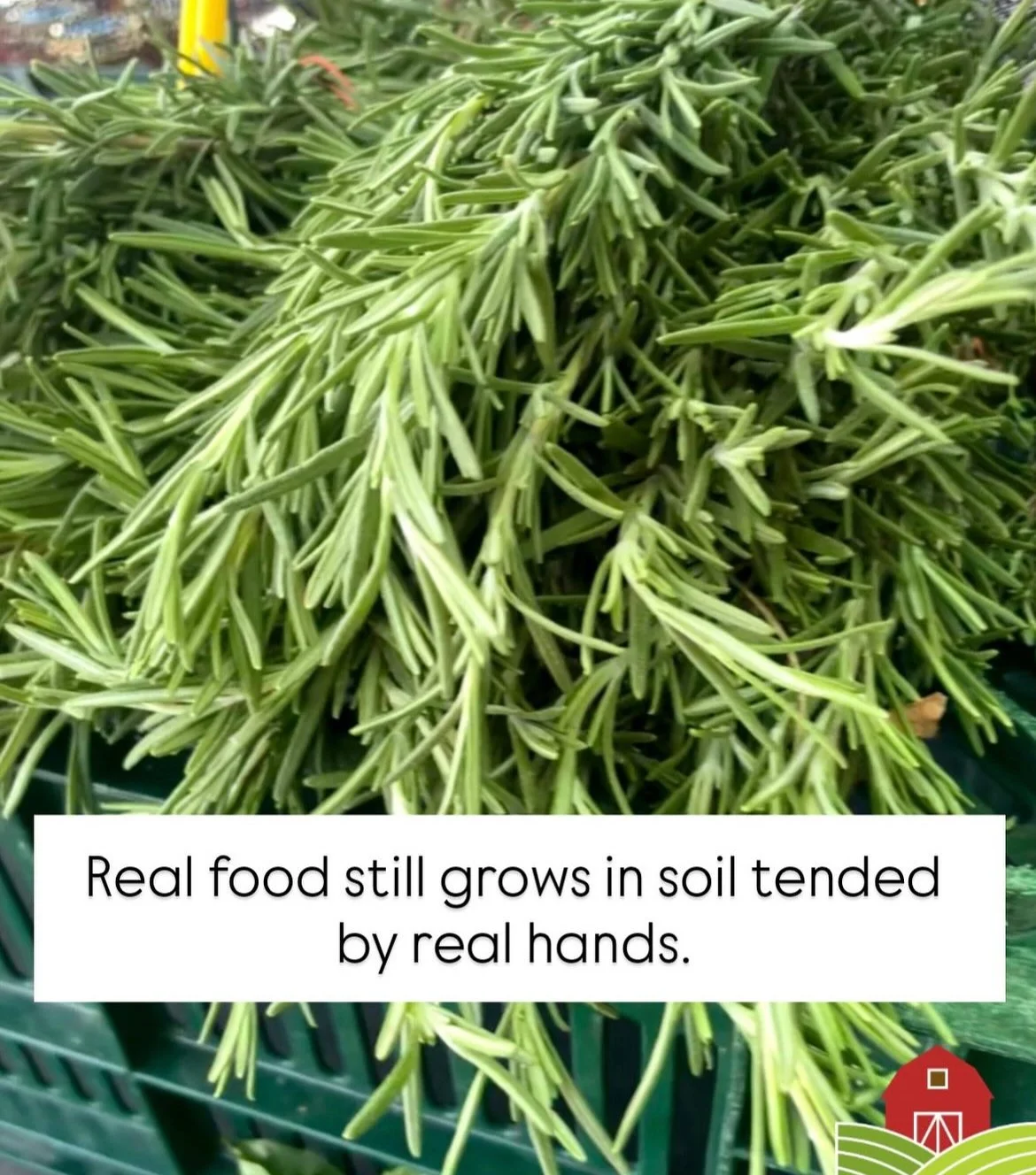 Farmers Market 5.jpg