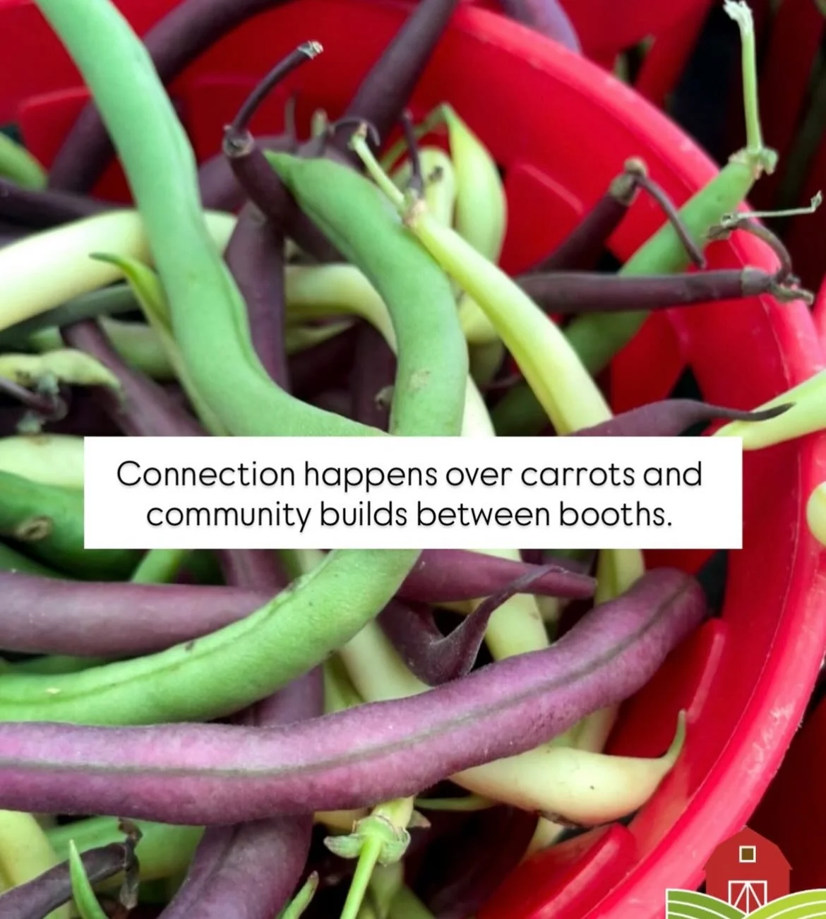 Farmers Market 7.jpg