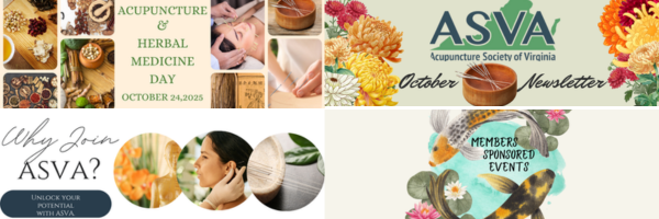 Portfolio ASVA.png