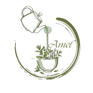 Amel 