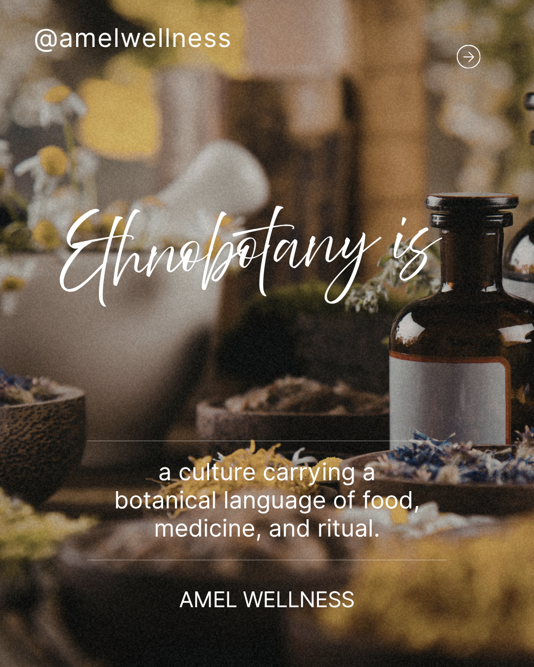 What is Ethnobotany (2).png