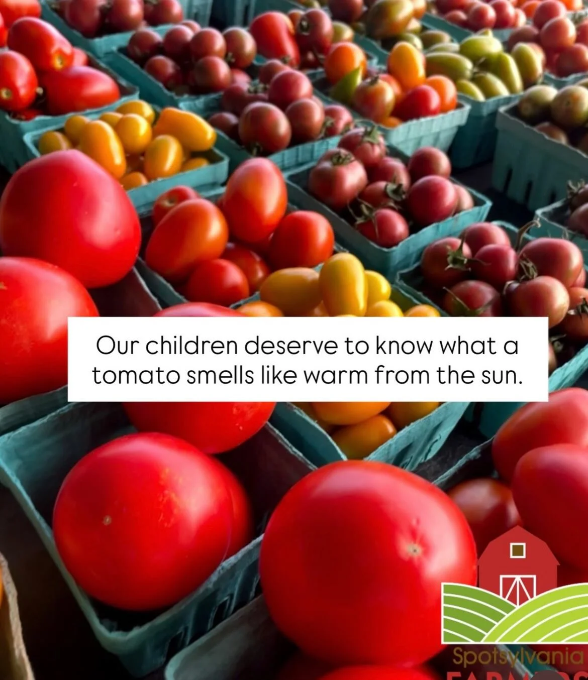 Farmers Market 2.jpg