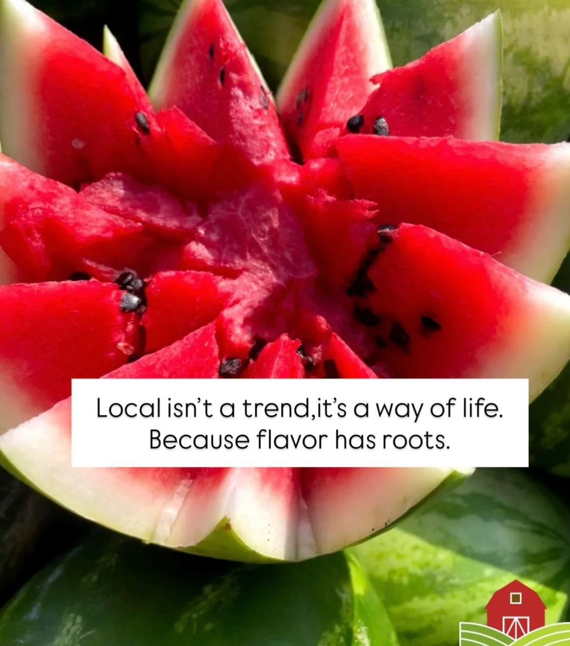 Farmers Market 4.jpg