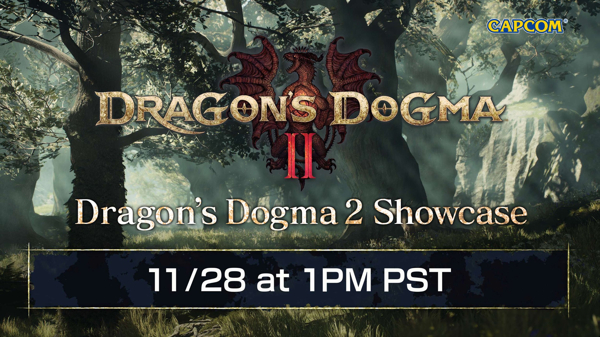 Dragon's Dogma 2: Release Date, Capcom Leaks, and Everything We Know