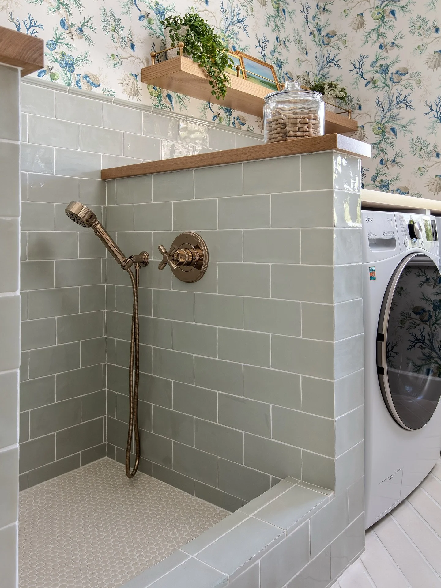 Daisy needs a bath.
This is not Daisy&rsquo;s shower. 
#dogbathdreams

Interiors by @elizabeth_louise_interiors 
📸 by @nataliarobertphoto -  photos require permissions for all use

#sandiegointeriordesign #interiorphotographer #interiorphotography
