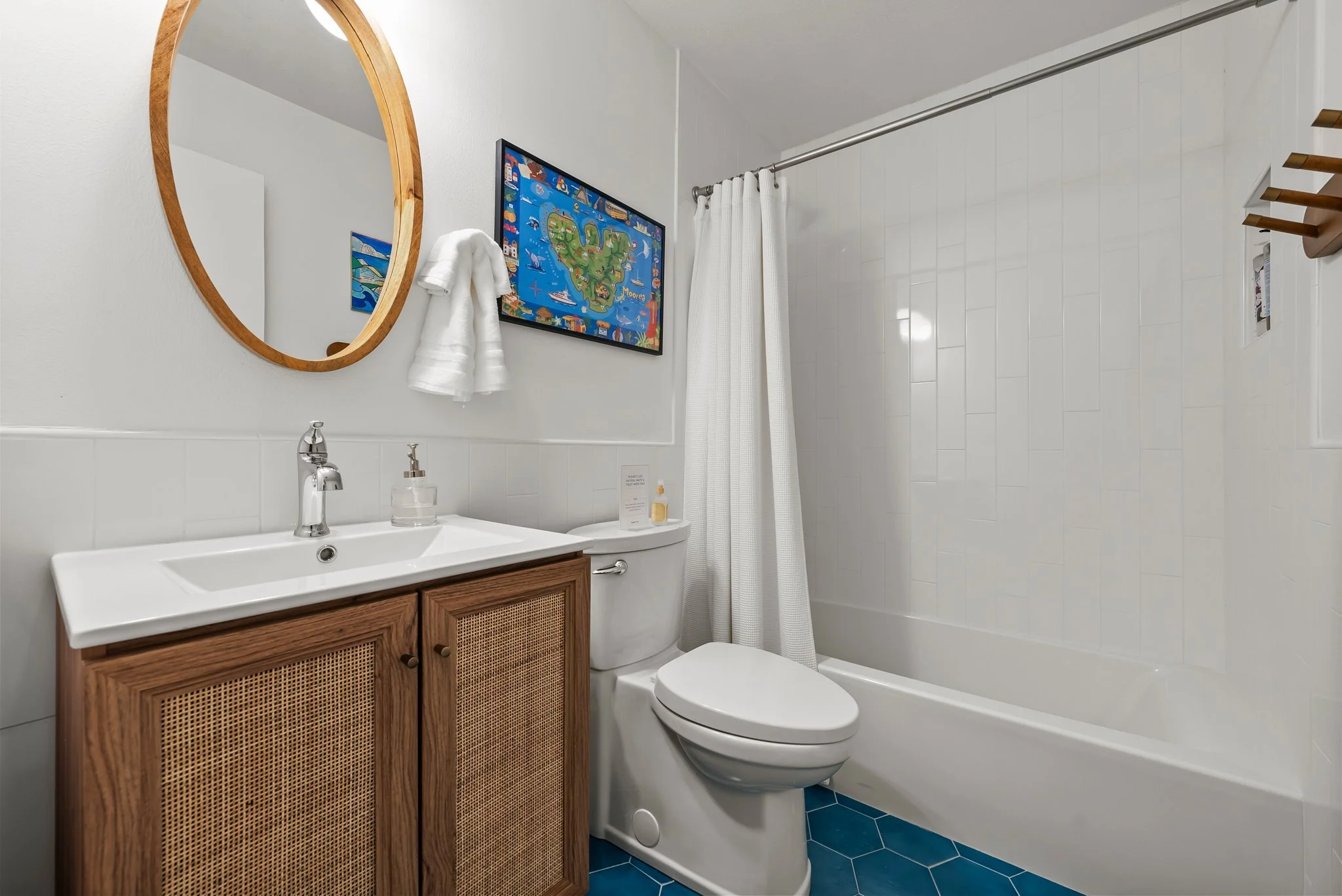 Shower, bathtub, hair dryer, shampoo, conditioner, body wash, cleaning products